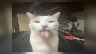 hard times - paramore!!! (sped up)