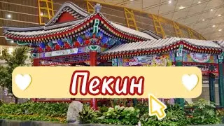 Аэропорт Пекина 🇨🇳