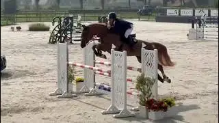 Endless pride - peelbergen - 6y youngster tour
