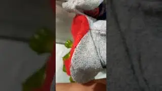o primeiro vídeo