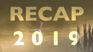 Thank you for 2019!