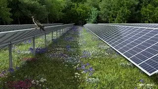 Birch Solar Farm in Ohio | Lightsource bp USA | Global Leaders in Solar Development
