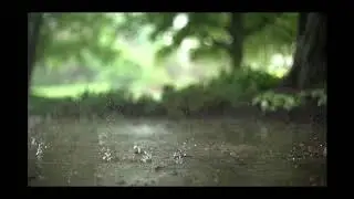 Guided Meditation - Letting Go in Difficult Times (Mindfulness meditation)