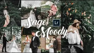 Sage Moody Preset | TUTORIAL | Lightroom Mobile and PC