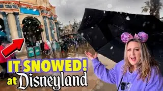 SURPRISE SNOW AT DISNEYLAND! + Food & Wine 2023 Tasting Good & Bad..& The EMPTY Park! What Happened?