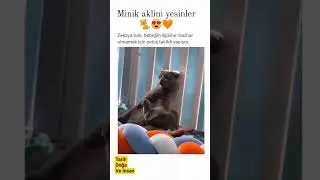 😊😊