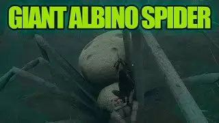 How to beat Giant Albino Spider in Smalland (Guide)