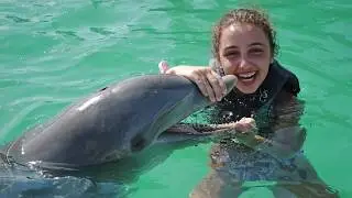 CUBA. Cayo Largo Island. Playa Sirena Beach. Dolphin swimming