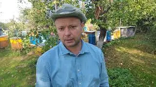 Провожу онлайн курсы по пчеловодству, стаж 39 лет!Поделюсь своими наработками и секретами!