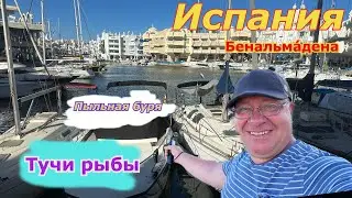 Испания Пыльная буря/ ПОРТ Бенальмадена