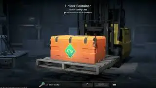 2x gallery cases (INSANE PULL)