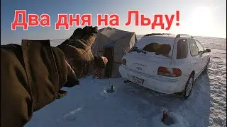 РЫБАЛКА С НОЧЕВКОЙ В КАЗАХСТАНЕ НА ОЗЕРЕ ЖАРЛЫКОЛЬ!