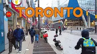 TORONTO / YONGE STREET /  WORLD FAMOUS WALK ( JAN 2025 )