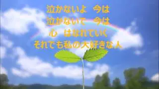 さよなら大好きな人　カラオケ　　【花＊花】