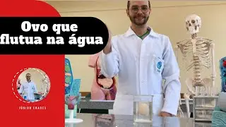 Ovo que flutua na água