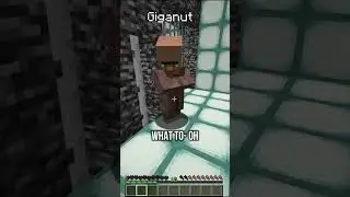 Villager Tricks Me Into Getting In His Prison
