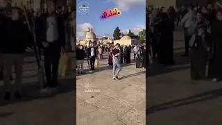 Amazing Flips Al Aqsa 