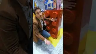 what is the LARGEST LEGO brick? 