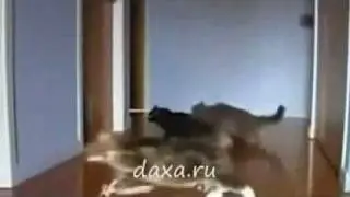 Котэ-Дрифт