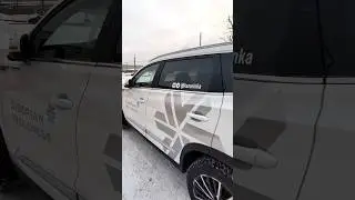 #ЯвАвтопроектеSW
