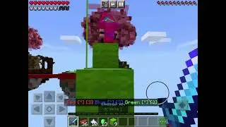 Играем на сервере Майн Plex