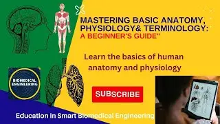 Biomedical Engineering Guide t0 Mastering Basic Anatomy & Physiology, Terminology  Beginner's Guide