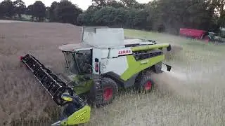 Moisson de blé et de colza avec l'ETA LE BIHANNIC __ CLAAS LEXION 6600 & CRESSONI CRX