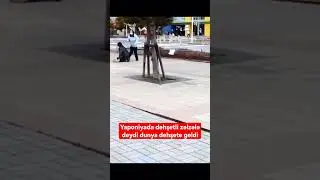 dehşetli zəlzələ Yaponiyada