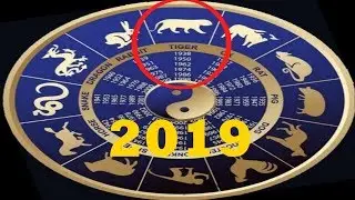 ГОРОСКОП НА 2019 ГОД ДЛЯ ТИГРА