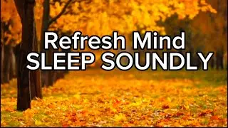 Relax Before BedSleep, Soundly with These Tips #stressrelief #insomnia #sleep #relaxation