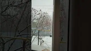 #синички