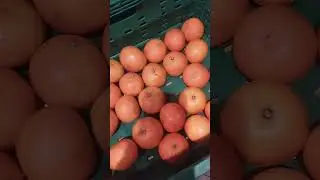 Мандарин.Цена со скидкой.Магазин Сильпо#мандарин#цена#скидка#сильпо