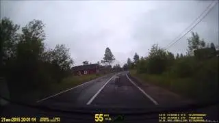 На убитую дорогу, нанесли новую разметку))