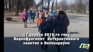 Видеофрагмент  интерактивного  занятия в Океанариуме. 17 апреля 2016-го года