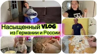 Сын пожалел на это деньги , и мы ему подарили / дети выпрашивают кошку / готовка , ремонт в доме