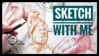 entspanntes zeichnen mit Buntstiften im Skizzenbuch - ABC Challenge - SKETCH WITH ME