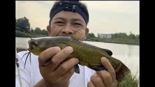 FISHING BULL HEAD AND CARP WITH MASTER (SUHU)