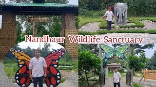 Nandhaur Wildlife Sanctuary Chorgalia ( Nainital ) | Uttarakhand |