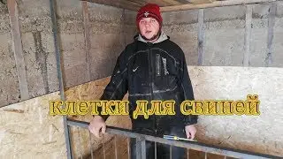Клетки для свиней Продолжение работы