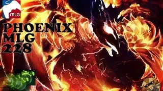 #PhoenixMLG228