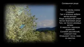 Соловьиная роща. Саксофон. Инструментальная.