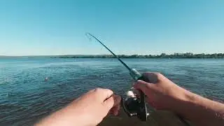 чехонь на мормышку