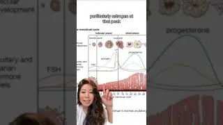 Let's Talk About Your Menstrual Cycle with an Allara OBGYN