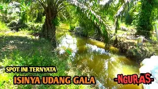 NGURAS SPOT YANG NGGAK DISANGKA TERNYATA ISINYA BANYAK UDANG GALA NYA