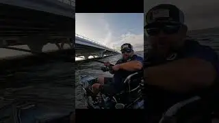 Catching bridge monsters