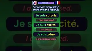 Emotions and feelings 🥰  #learnfrench