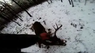 2013 new jersey 6 day firearm season highlights Gopro hero 3+