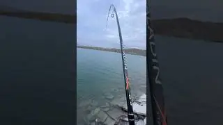 Спиннинг на приделе улов 👌