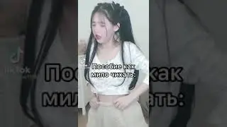 КАК МИЛО ЧИХАТЬ