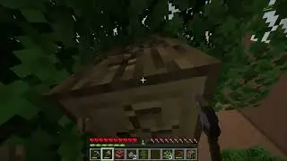 Minecraft Lava Survival